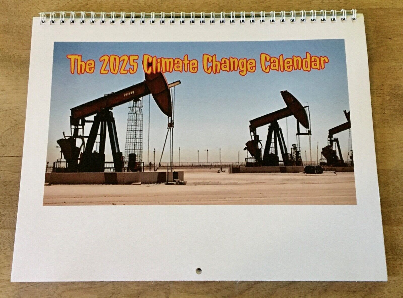 2025 Climate Change Wall Calendar - Dark Humor / Novelty Calendar