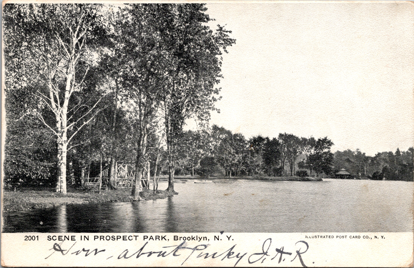 Vintage 1906 Lake Scene in Prospect Park Brooklyn New York NY Postcard