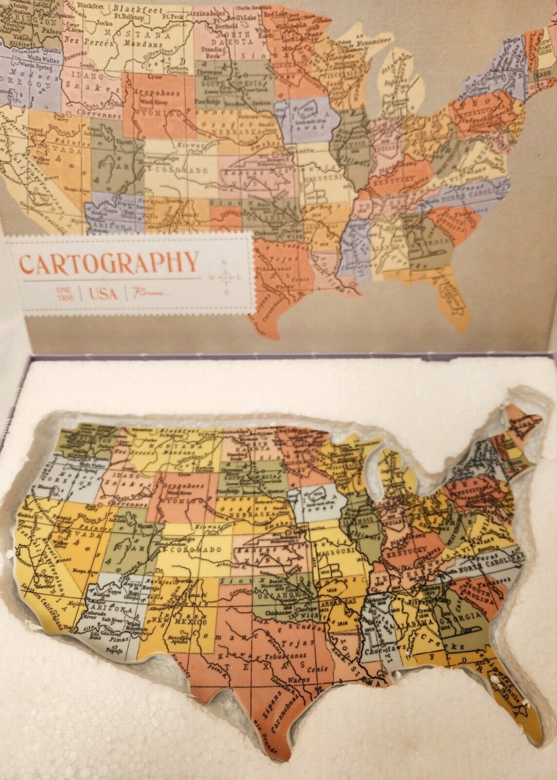 NEW Retired Rosanna CARTOGRAPHY USA Shaped Infinity Hors d'oeuvre Tray Plate