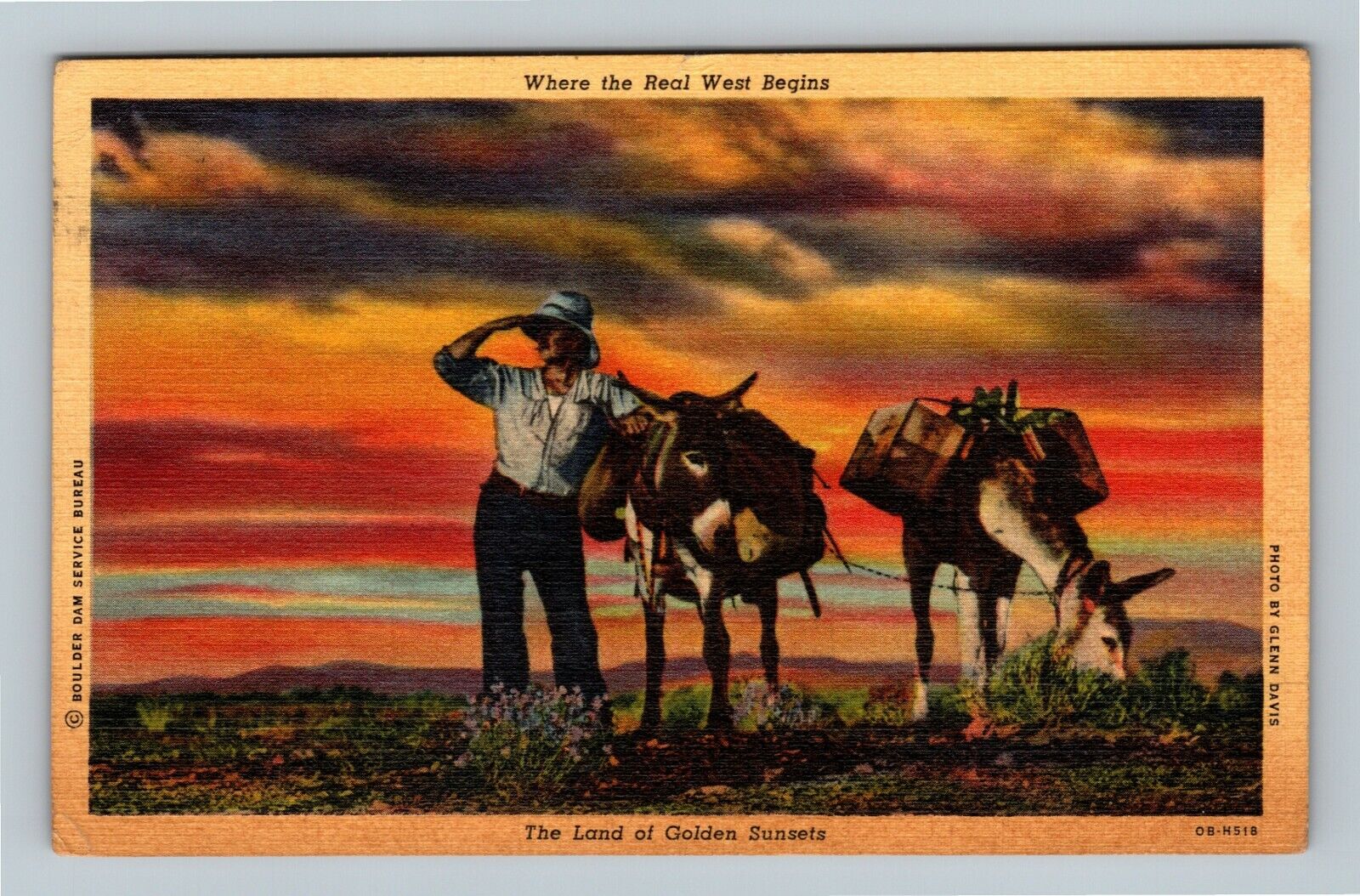 Where The Real West Begins Land Golden Sunsets Donkeys c1942 Vintage Postcard