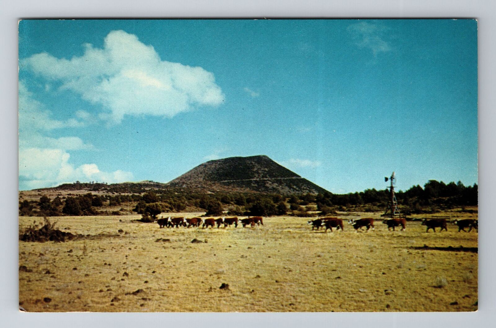 Raton NM-New Mexico, Mt. Capulin, Antique Vintage Souvenir Postcard