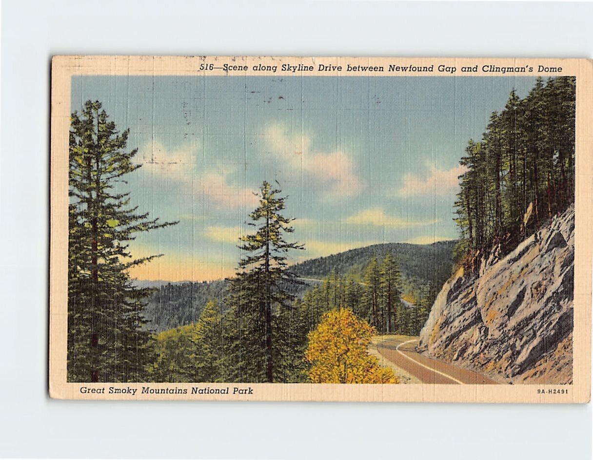 Postcard Scene Along Drive Great Smoky Mountains National Park USA