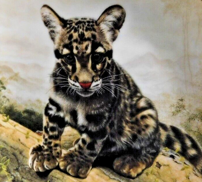 The Clouded Leopard Cub Plate Art ~Charles Frace\' Nature\'s Lovables Large Cats