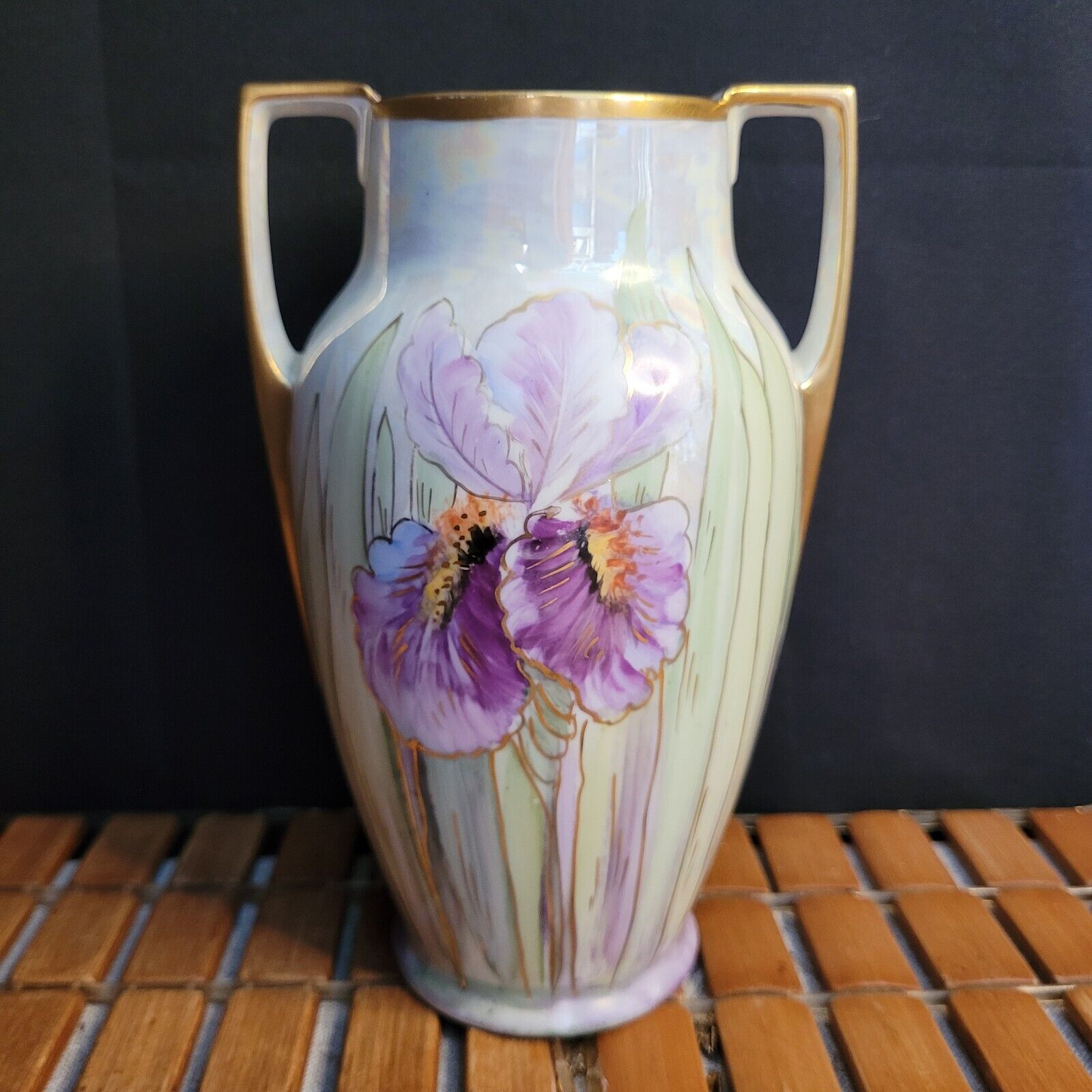 Antique Art Nouveau MZ Austria  Handpainted Iris Opaline Porcelain Vase