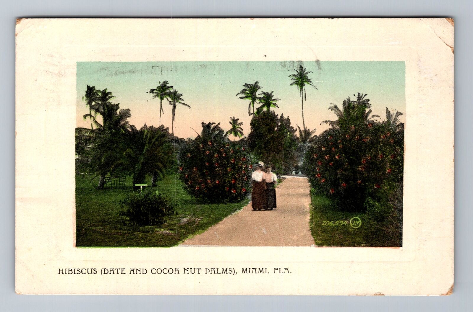 Miami FL-Florida, Hibiscus, Date and Cocoa Nut Palms, Vintage Postcard