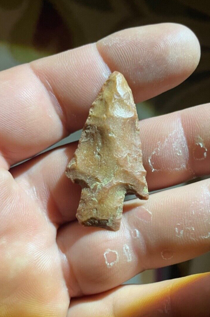 Exhausted Hardin barbed stemmed early archaic authentic arrowhead from Tennessee