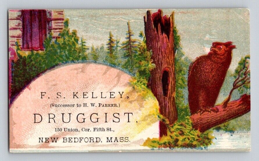 F S Kelley Druggist Owl New Bedford MA P31