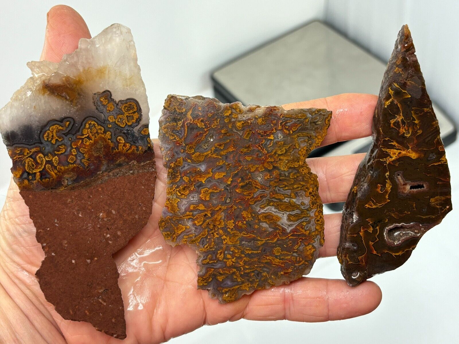 Turkish Golden Moss Agate slabs Cabbing Lapidary Collecting Combo Ship avail