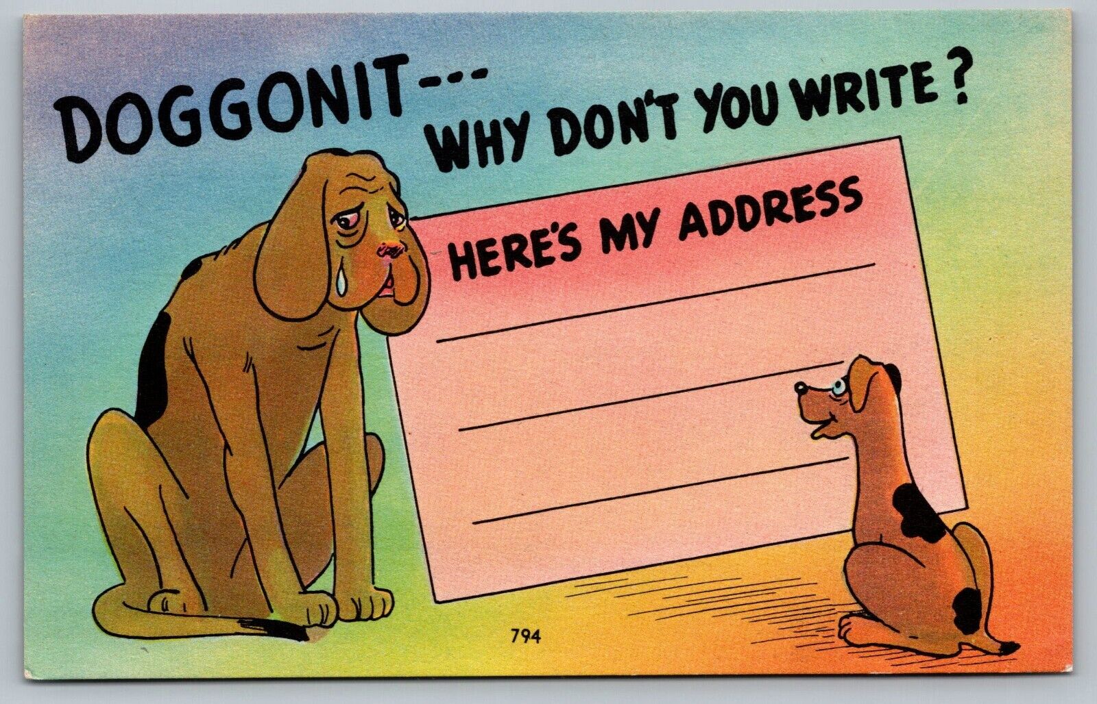 Postcard Doggonit Why Dont You Write Heres My Address Greetings Dog Sad Puppy  