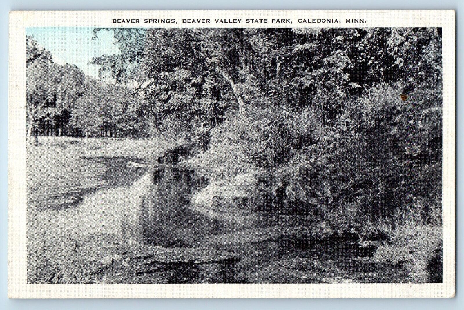 Caledonia Minnesota MN Postcard Beaver Springs Valley State Park 1945 Vintage