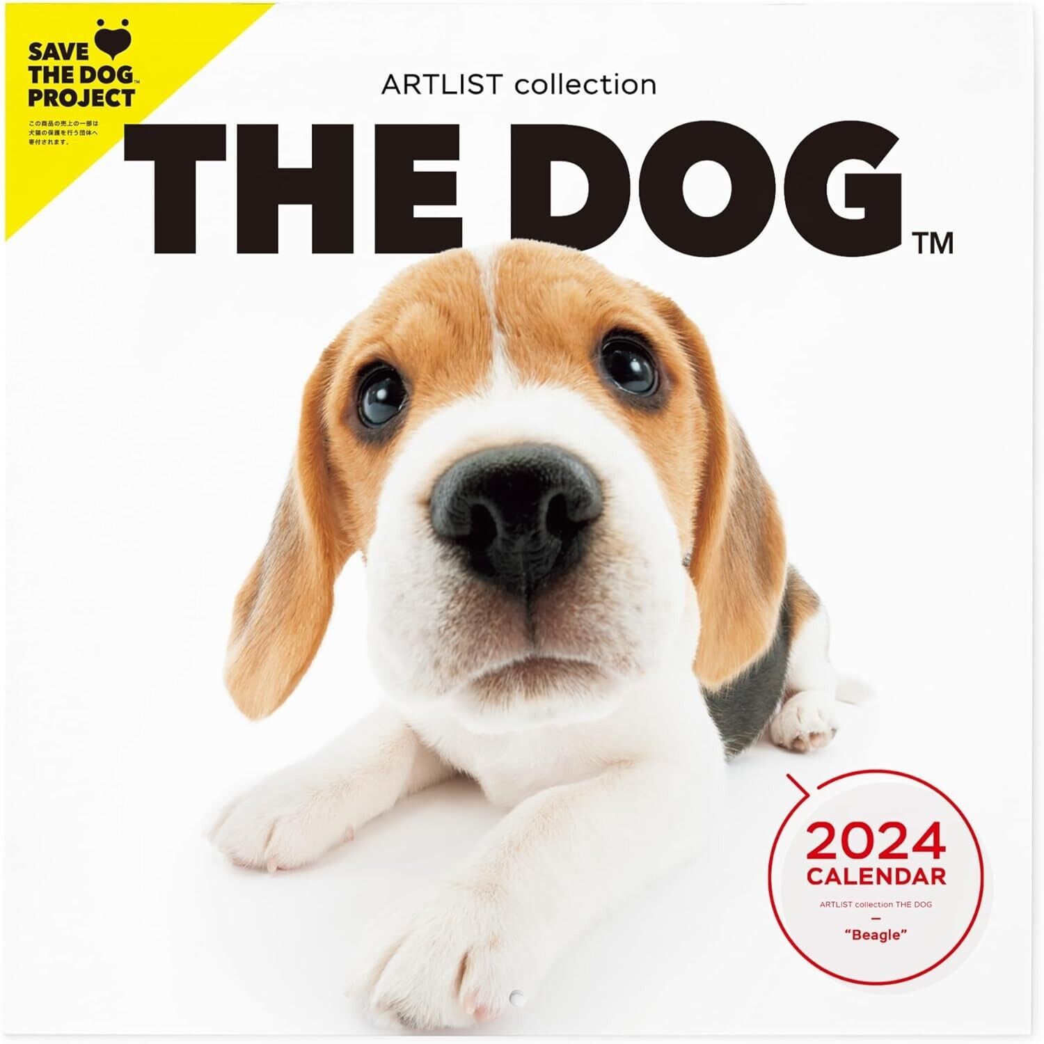 The Dog WALL Calendar 2024 Beagle ‎29 x 29 cm