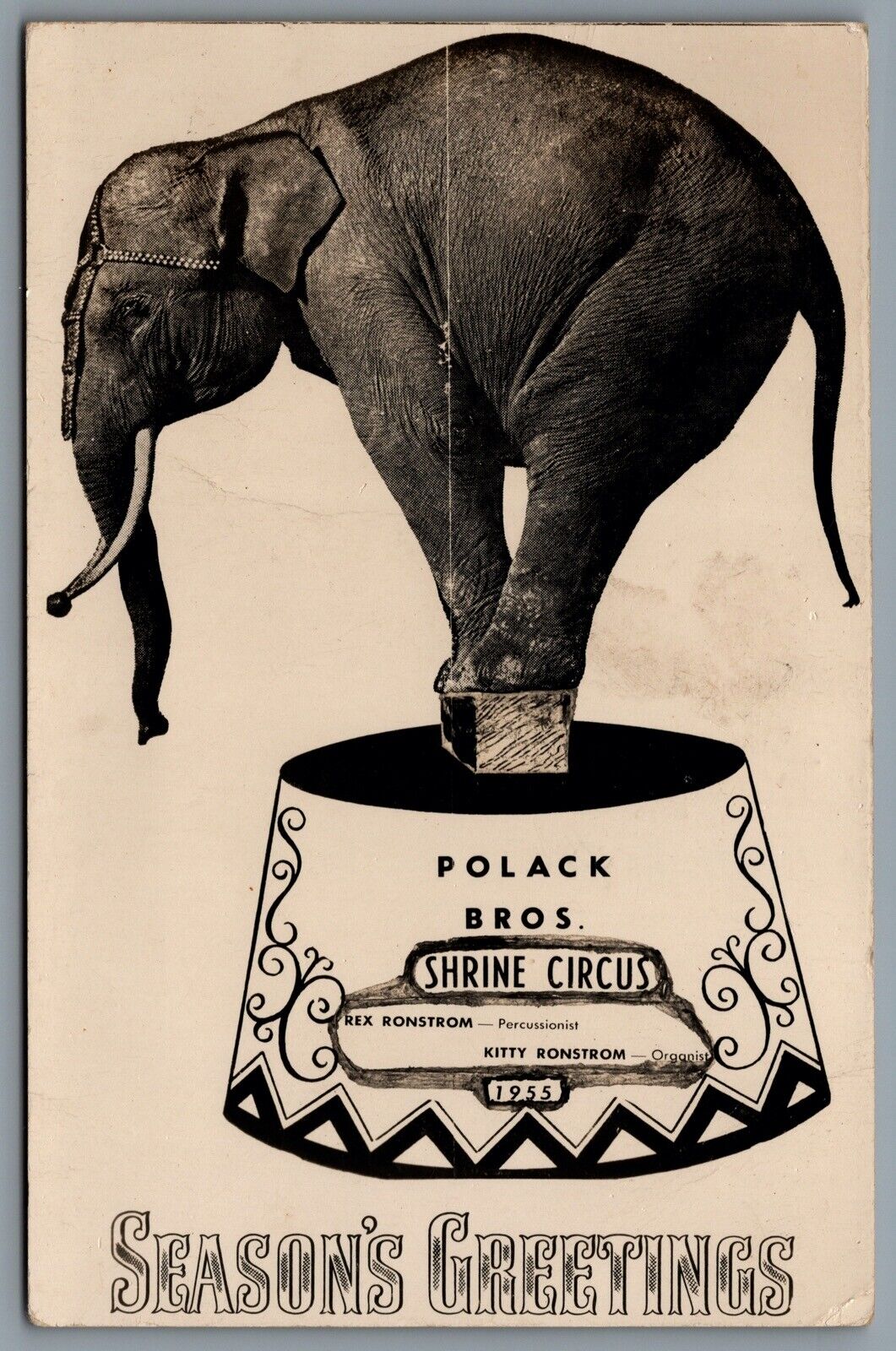 Postcard RPPC c1955 Polack Bros Shrine Circus Seasons Greetings Elephant Trick
