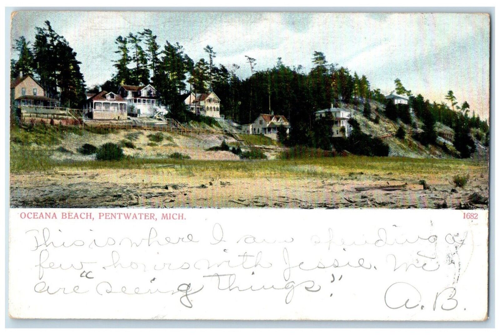 1907 View Of Oceana Beach Cottages Houses Pentwater Michigan MI Antique Postcard