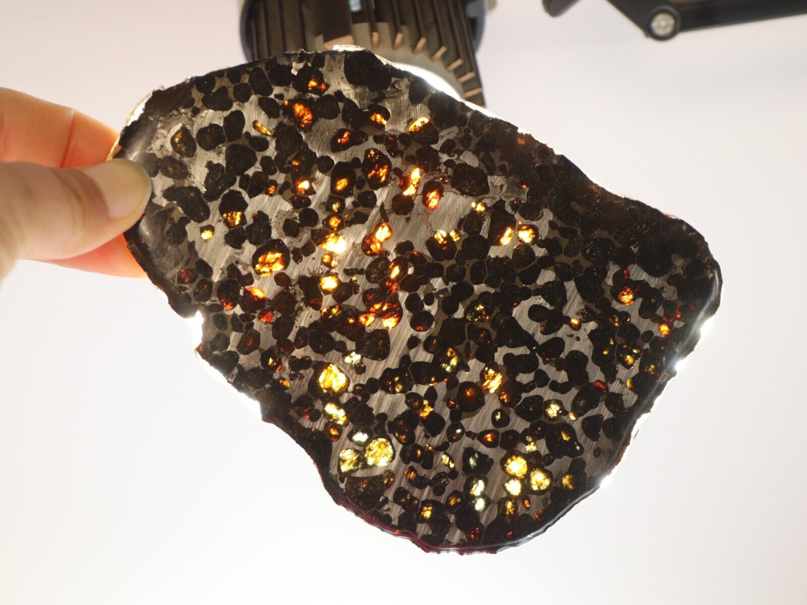 125g Natural meteorite,Slice olive meteorite-from Kenya SERICHO,collection N3732