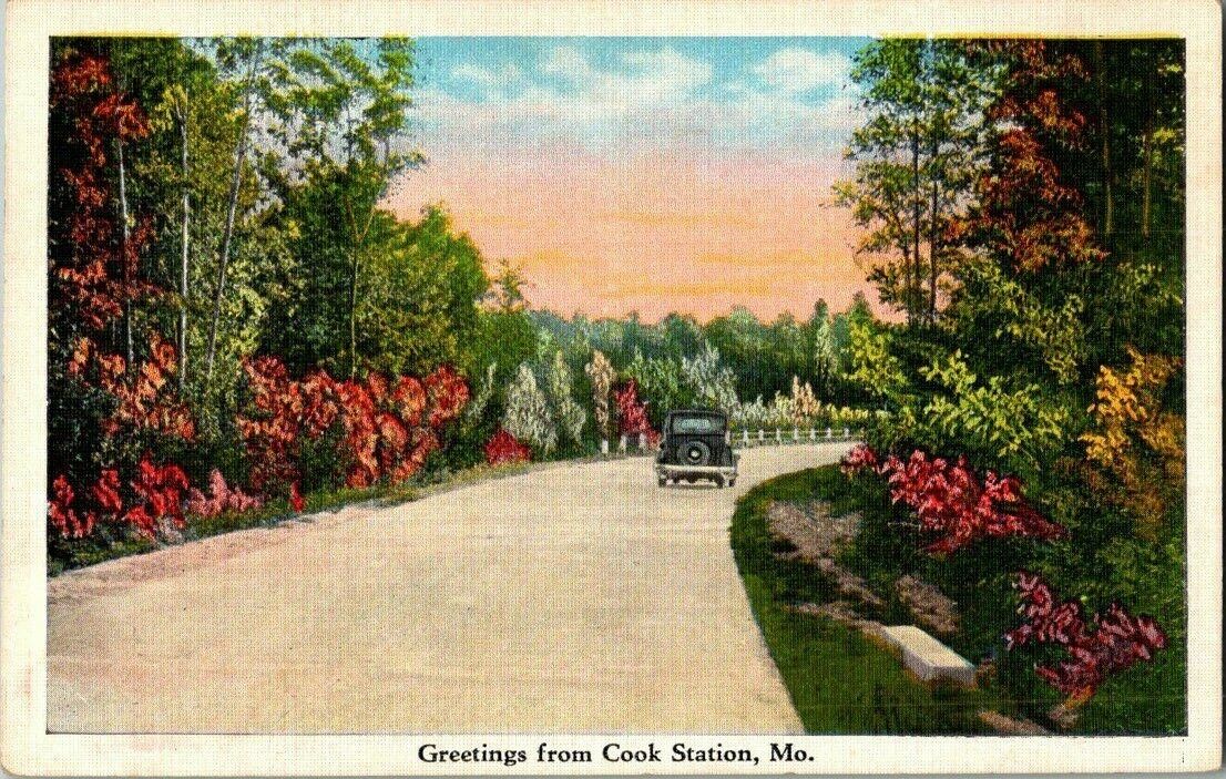 1930\'S. GREETINGS FROMCOOK STATION, MO POSTCARD. FX5