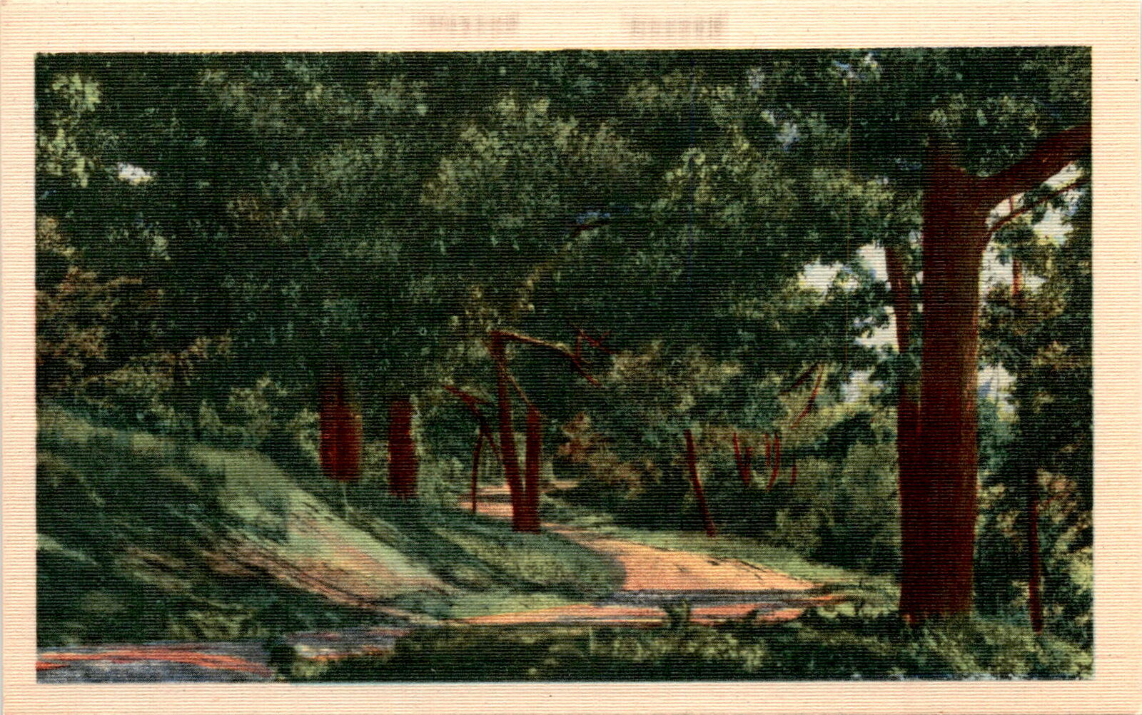 Asheville Postcard Co., Asheville, North Carolina, western, vibrant Postcard