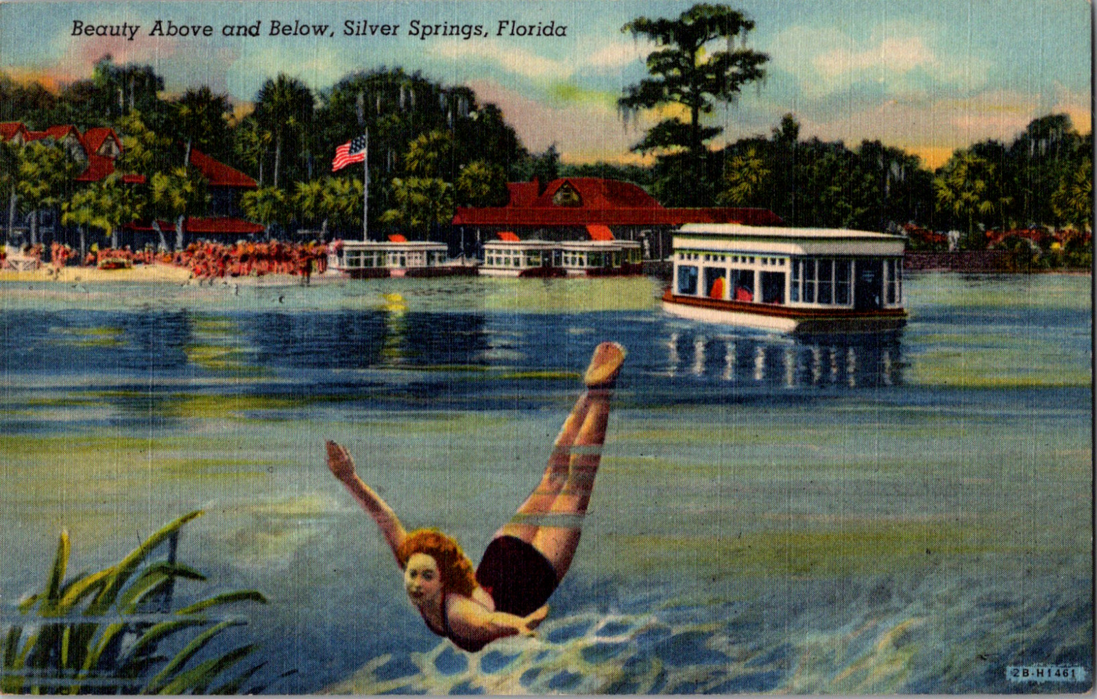 Vintage 1940's Beauty Above Below Woman Swimming Boat Silver Springs FL Postcard