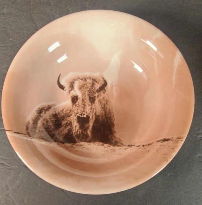 Yellowstone Park Foundation Photography By Tom Murphy 2003 Bison bowl Vintage