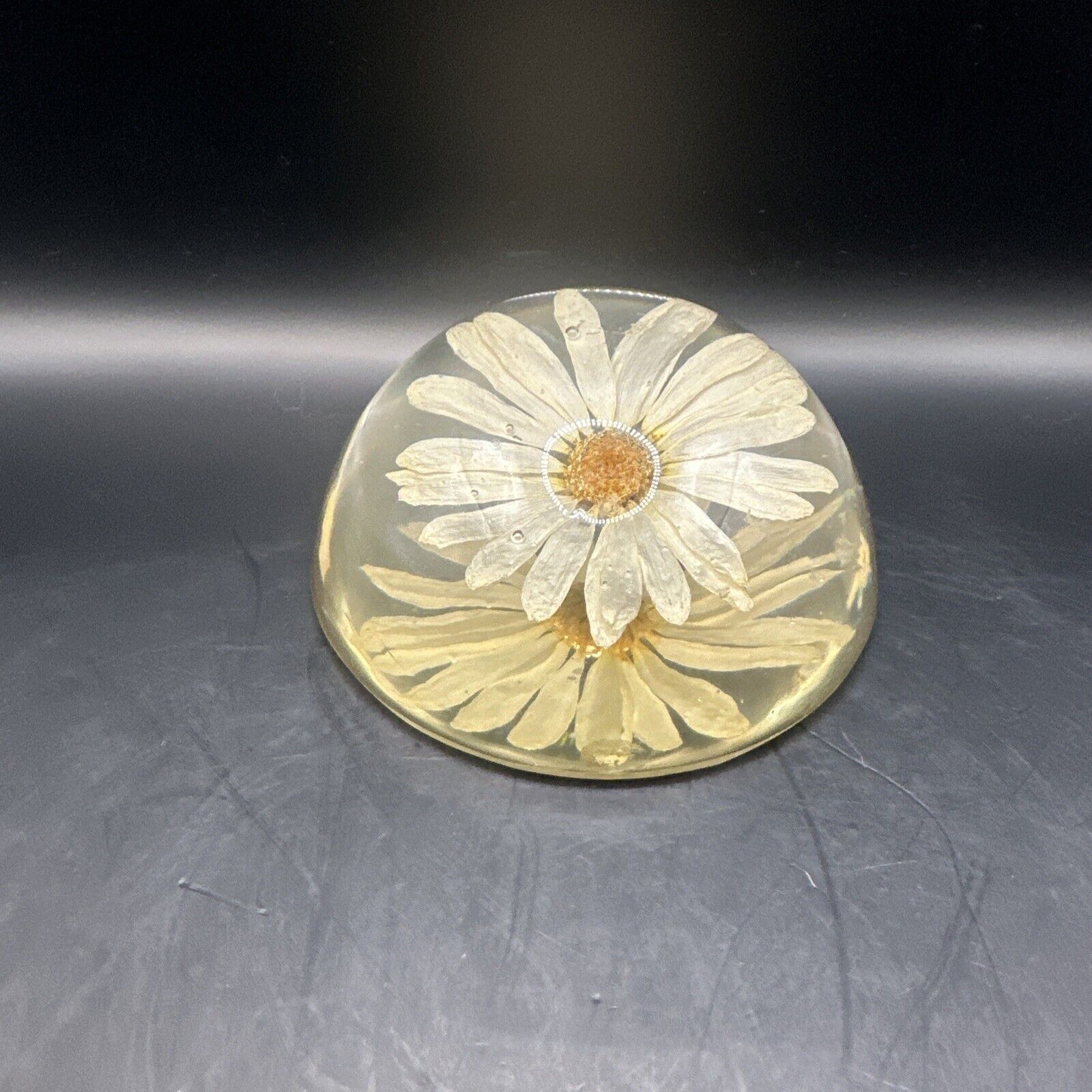Vintage Daisy Flower Lucite Dome Paperweight Acrylic Resin Cottage Core