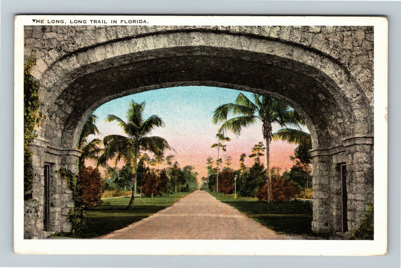 FL-Florida, Scenic Greeting, Long, Long Trail, Vintage Postcard