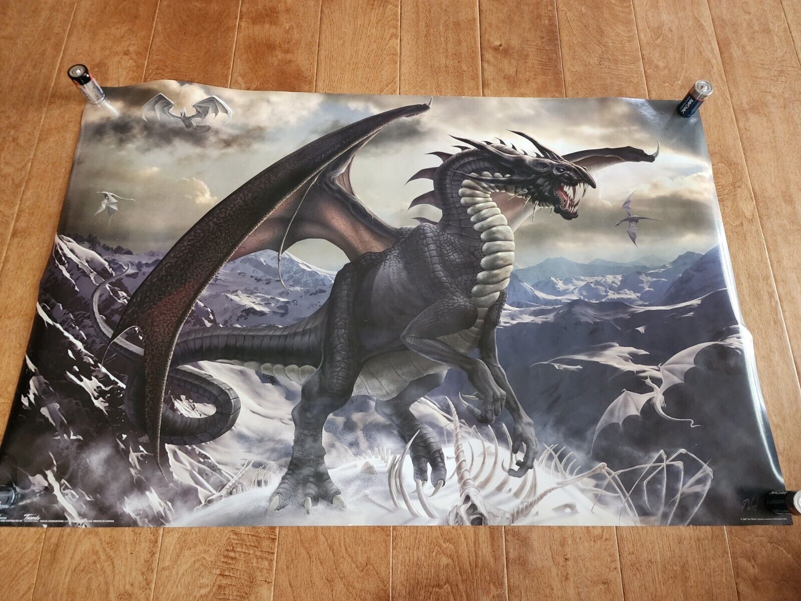 WOW Rogue Dragon 2007 Poster 34x22 Tom Wood Trends International #9007