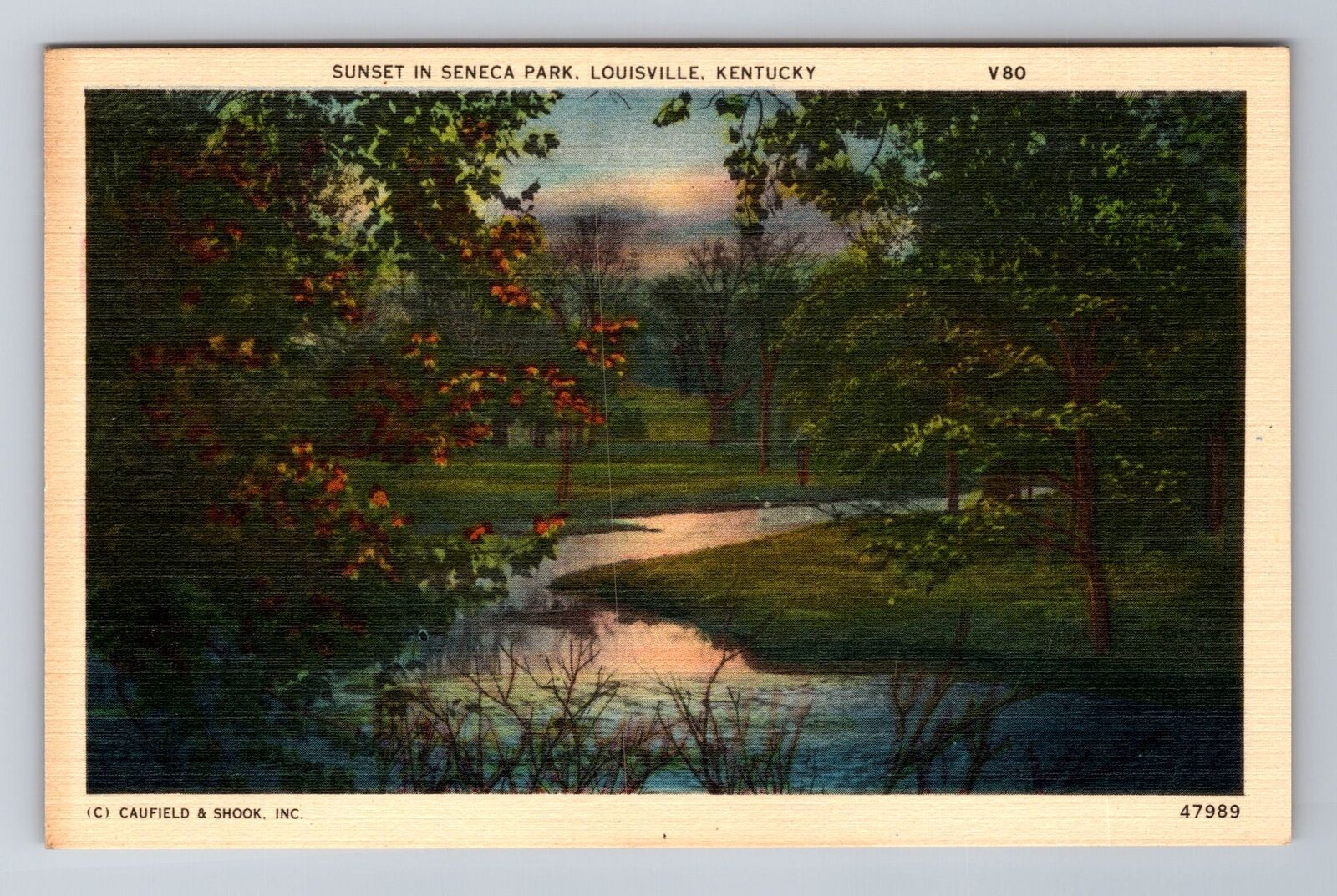 Louisville KY-Kentucky, Sunset In Seneca Park, Antique, Vintage Postcard