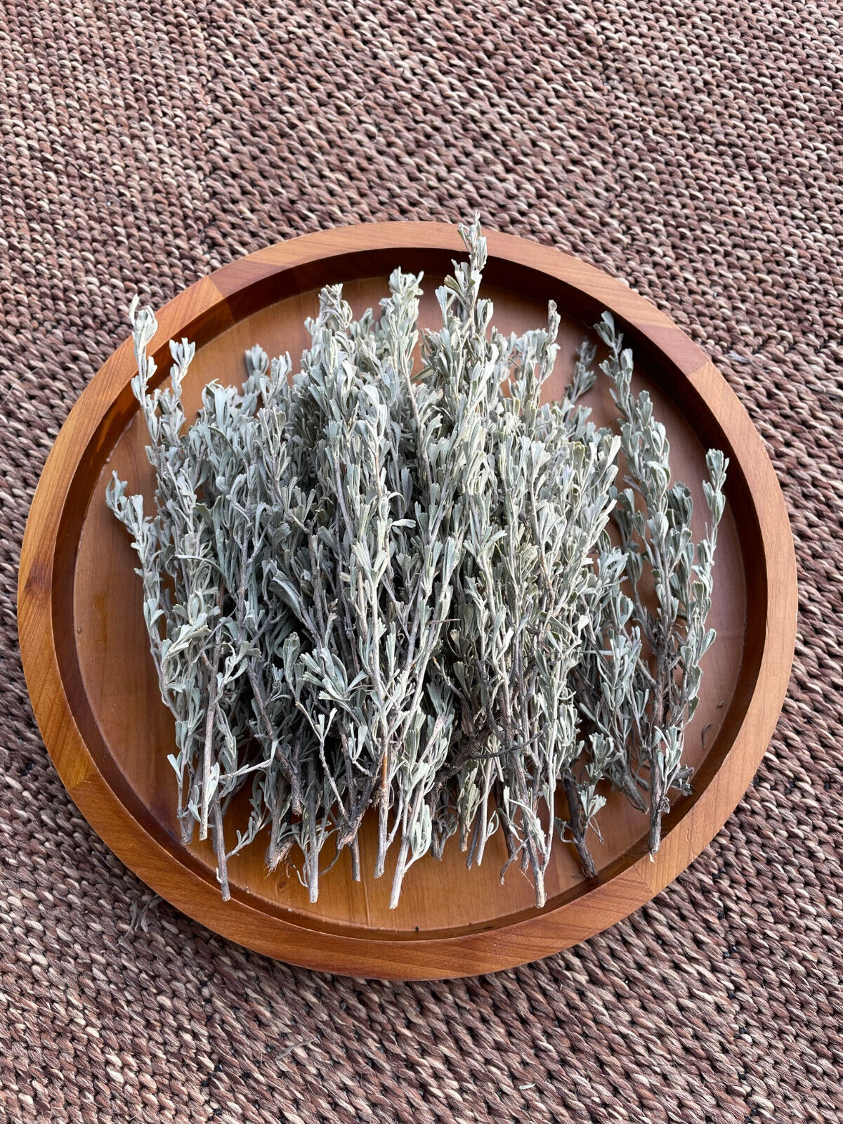 4oz Fresh Cut Sage Artemisia Tridentata Big Sagebrush Wild Native SMUDGING