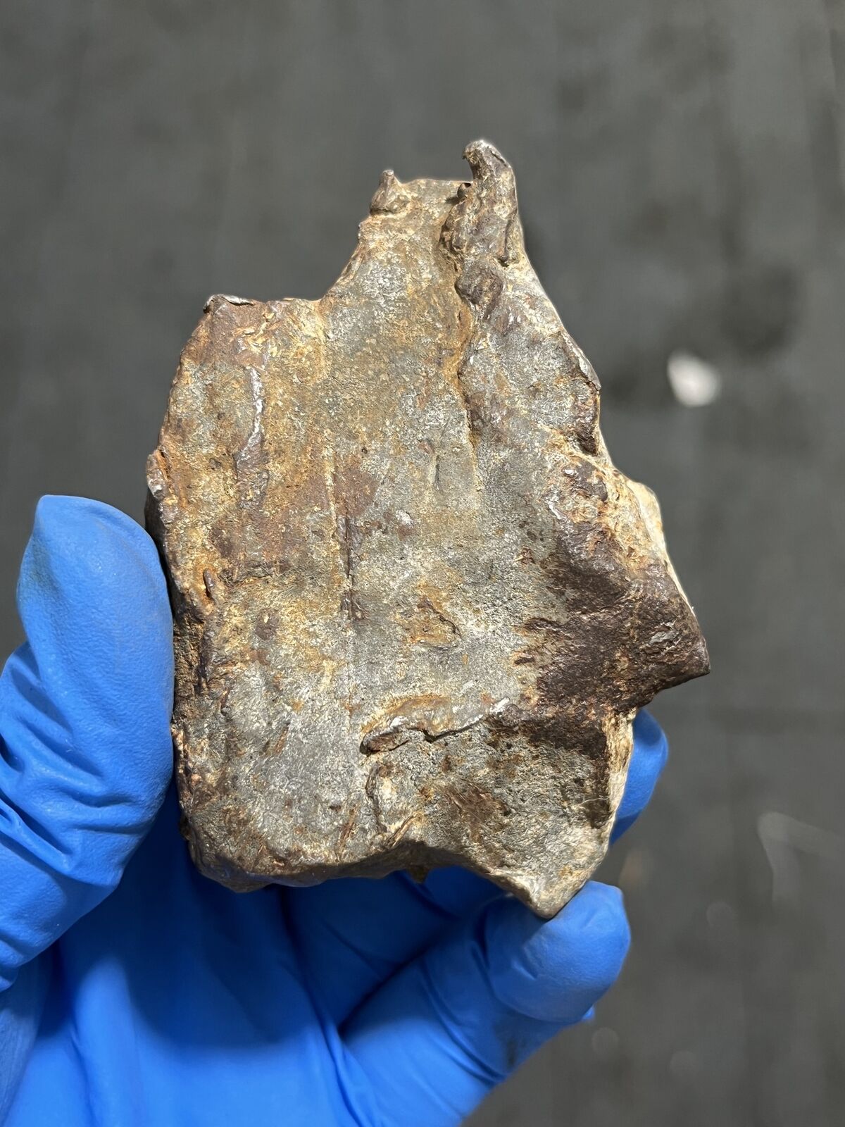 387g Egypt Gebel Kamil Iron meteorite complete oriented individual