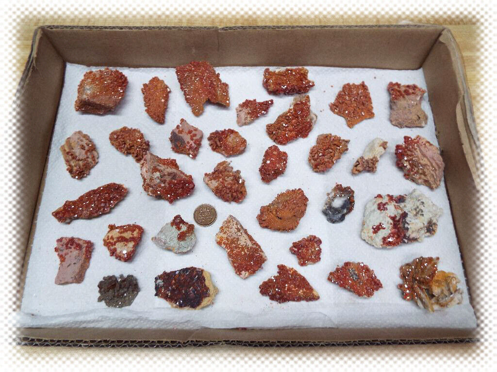 32 Piece Collection  -  Vanadinite on Matrix Crystal Specimen Lot Morocco