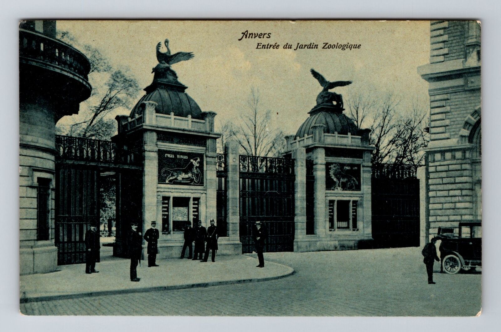 Antwerp-Belgium, Anvers Zoo, Vintage Postcard