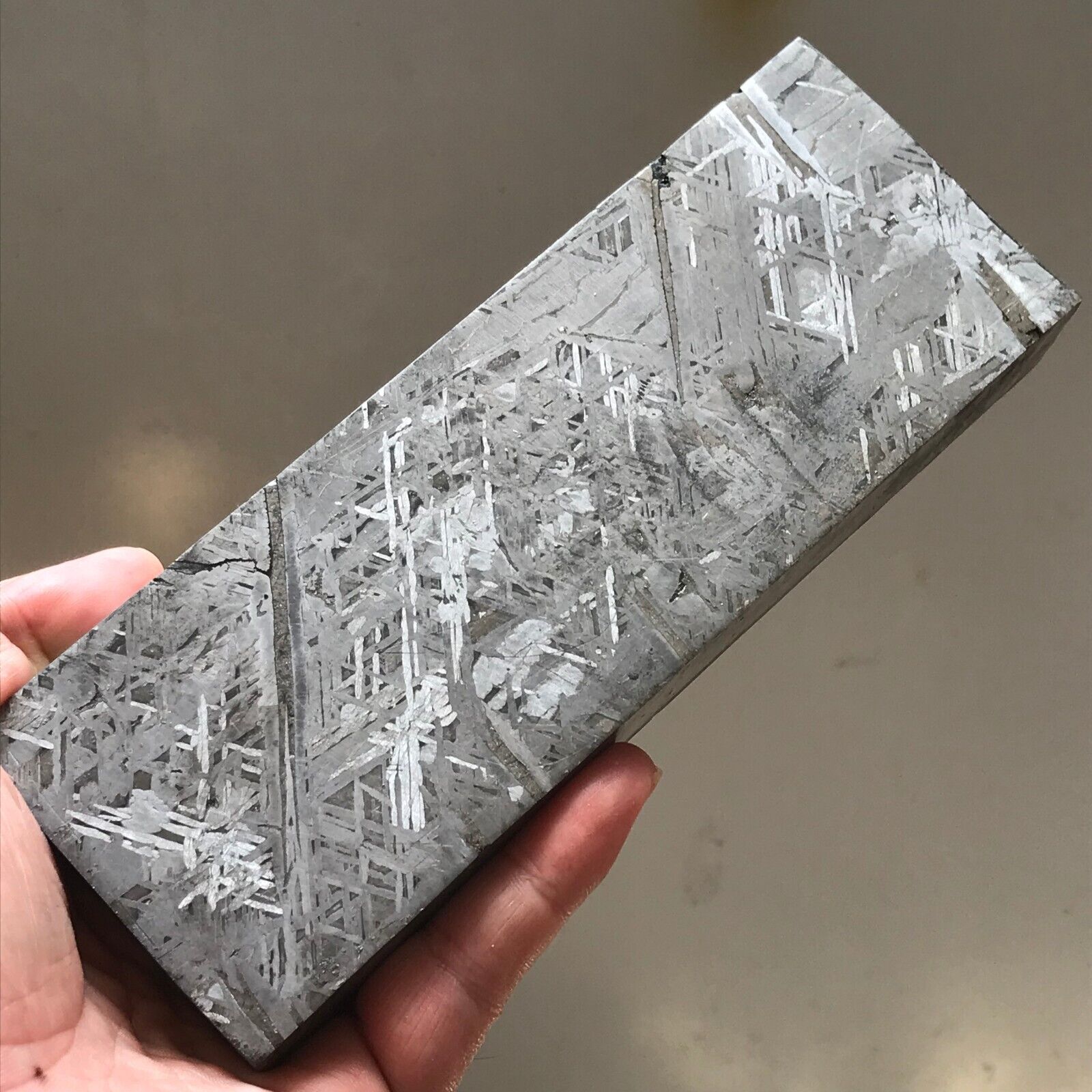 Aletai Meteorite 1588.8 G End-Cut Square Bricks Etched Fusion Crust Sealed Glaz