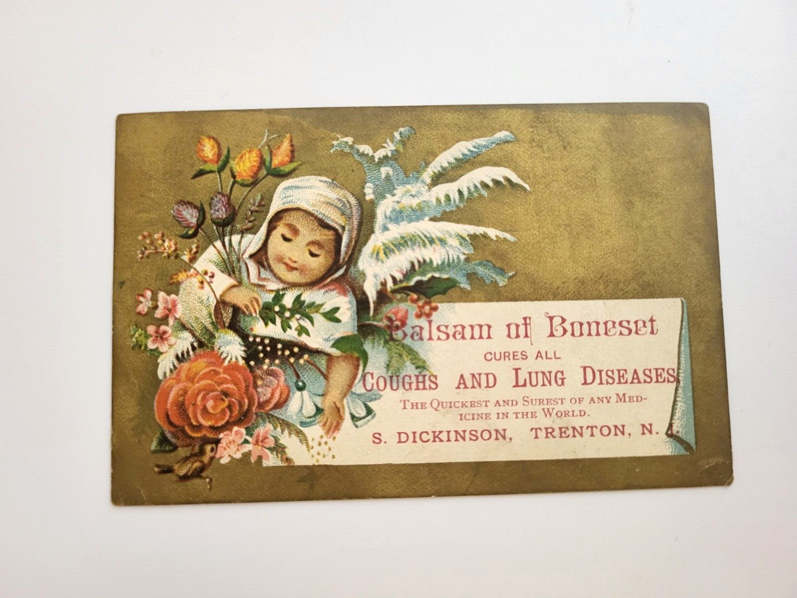Vintage Trade Card Balsam of Boneset For Coughs & Lung Diseases-Trenton NJ