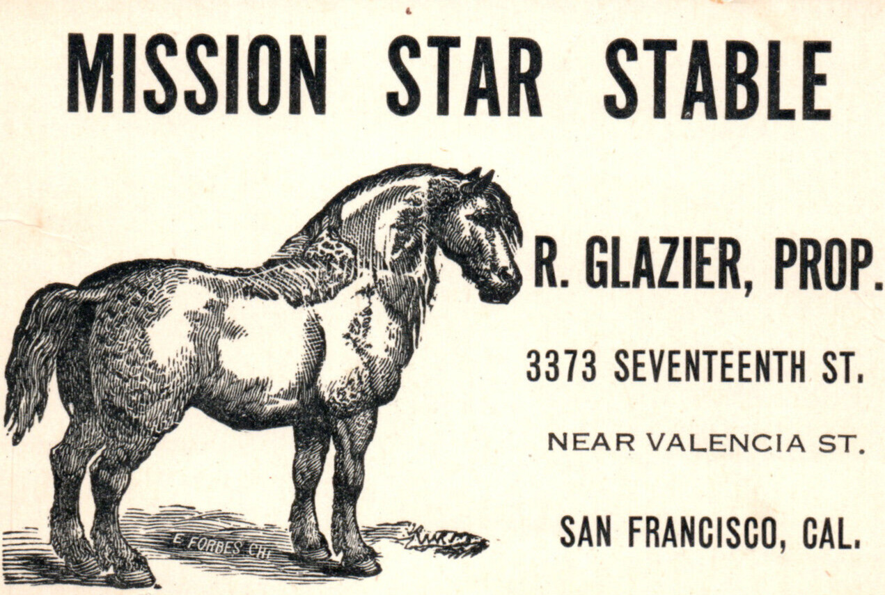 Mission Star Stable Horse Equestrian San Francisco California Business Card