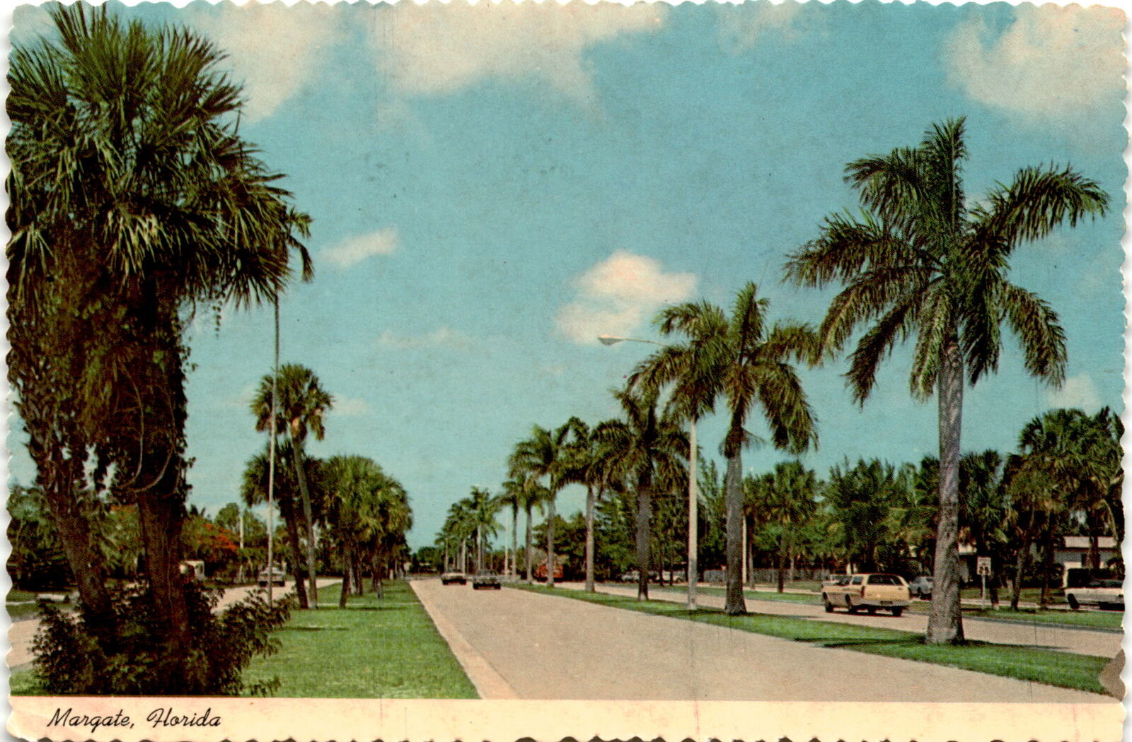 Margate, Florida, Royal Palm Boulevard, tropical palms, January 31 Postcard