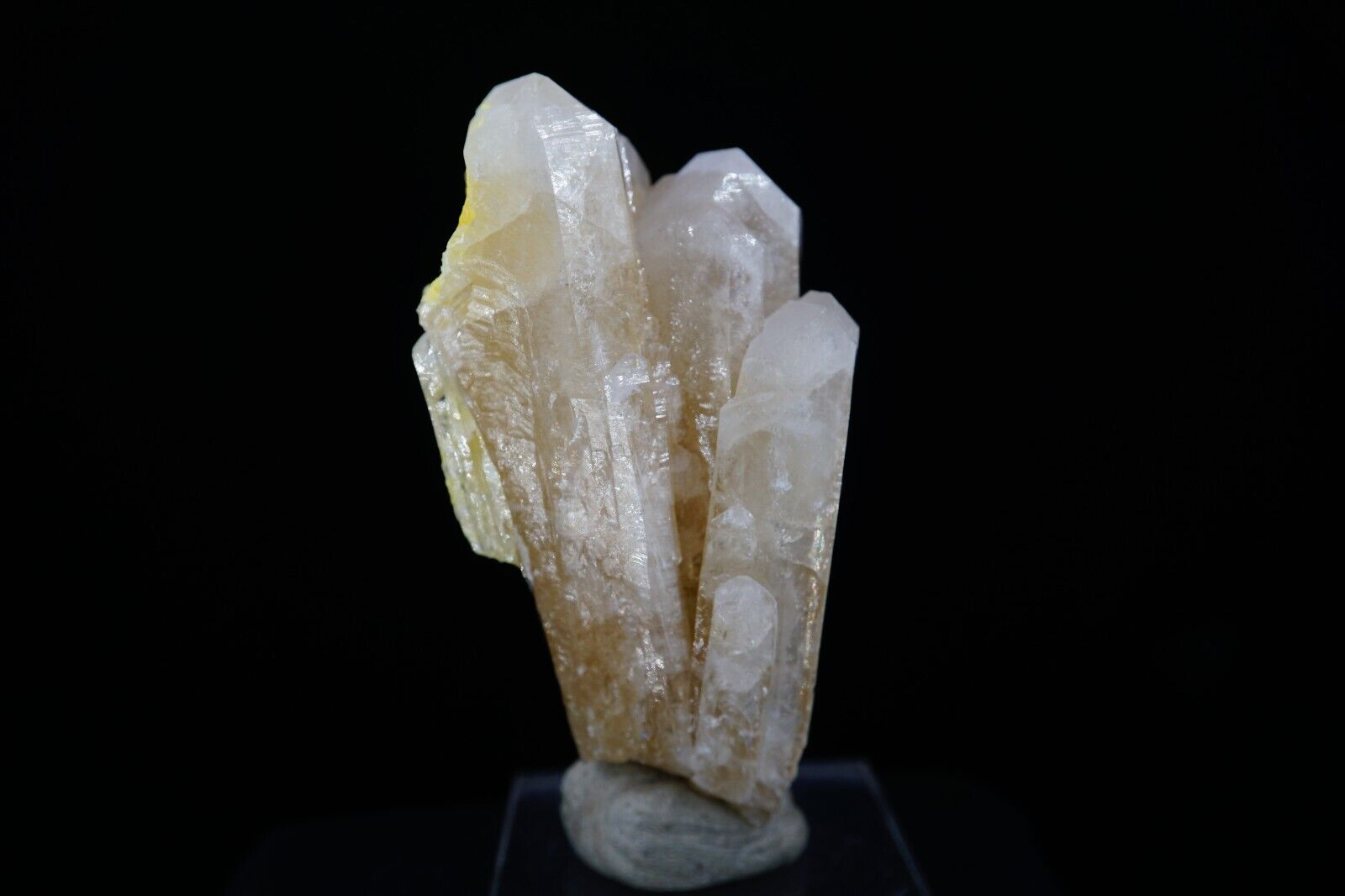 Sulphur on Celestine / Rare 8.8cm Mineral Specimen / Machow Mine, Poland