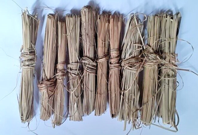 Pure indian Dharba Grass puja Grass Kusha used For Pooja 10 small bundles