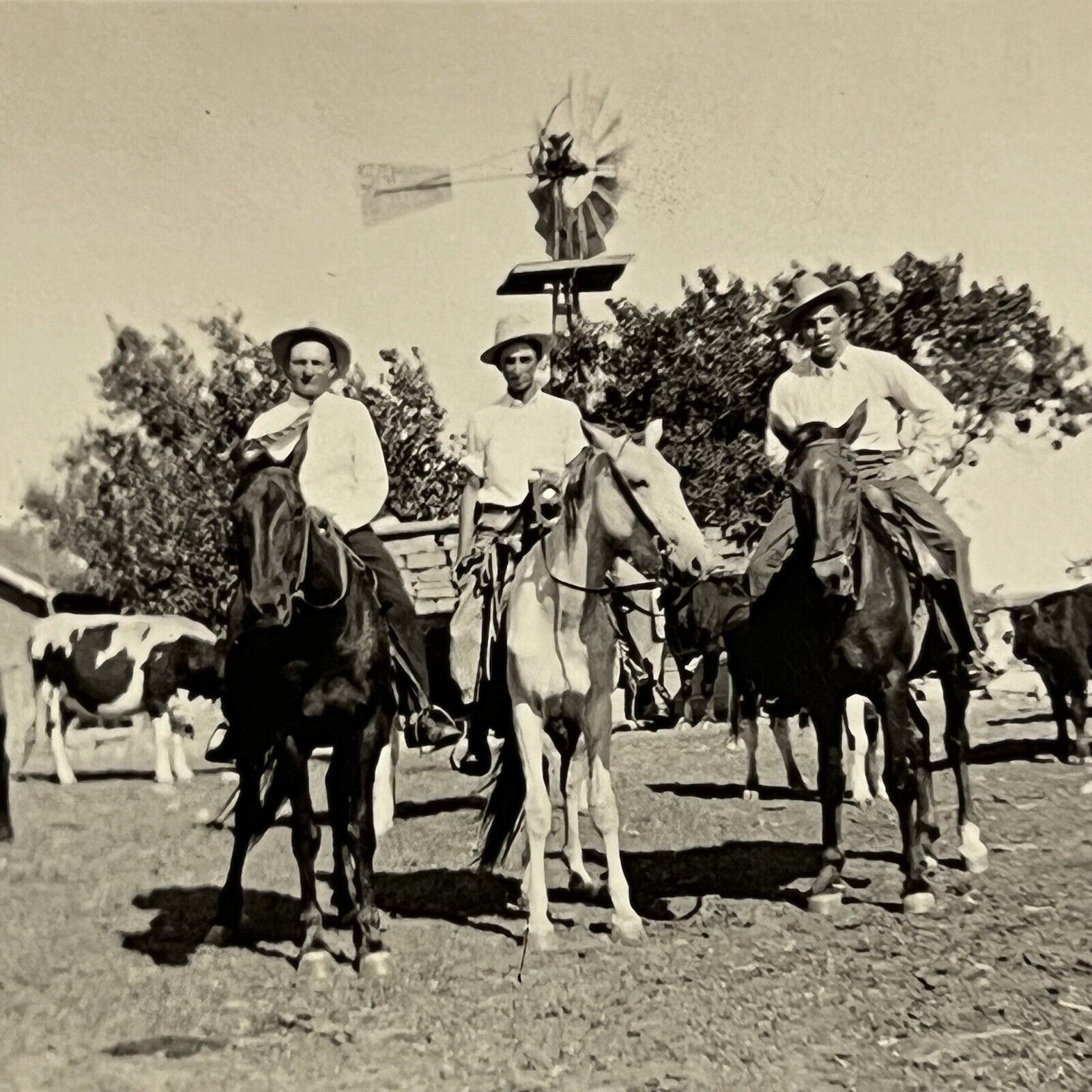 Vintage B&W Snapshot Photograph Handsome Men Cowboy Cow Horse Western NM