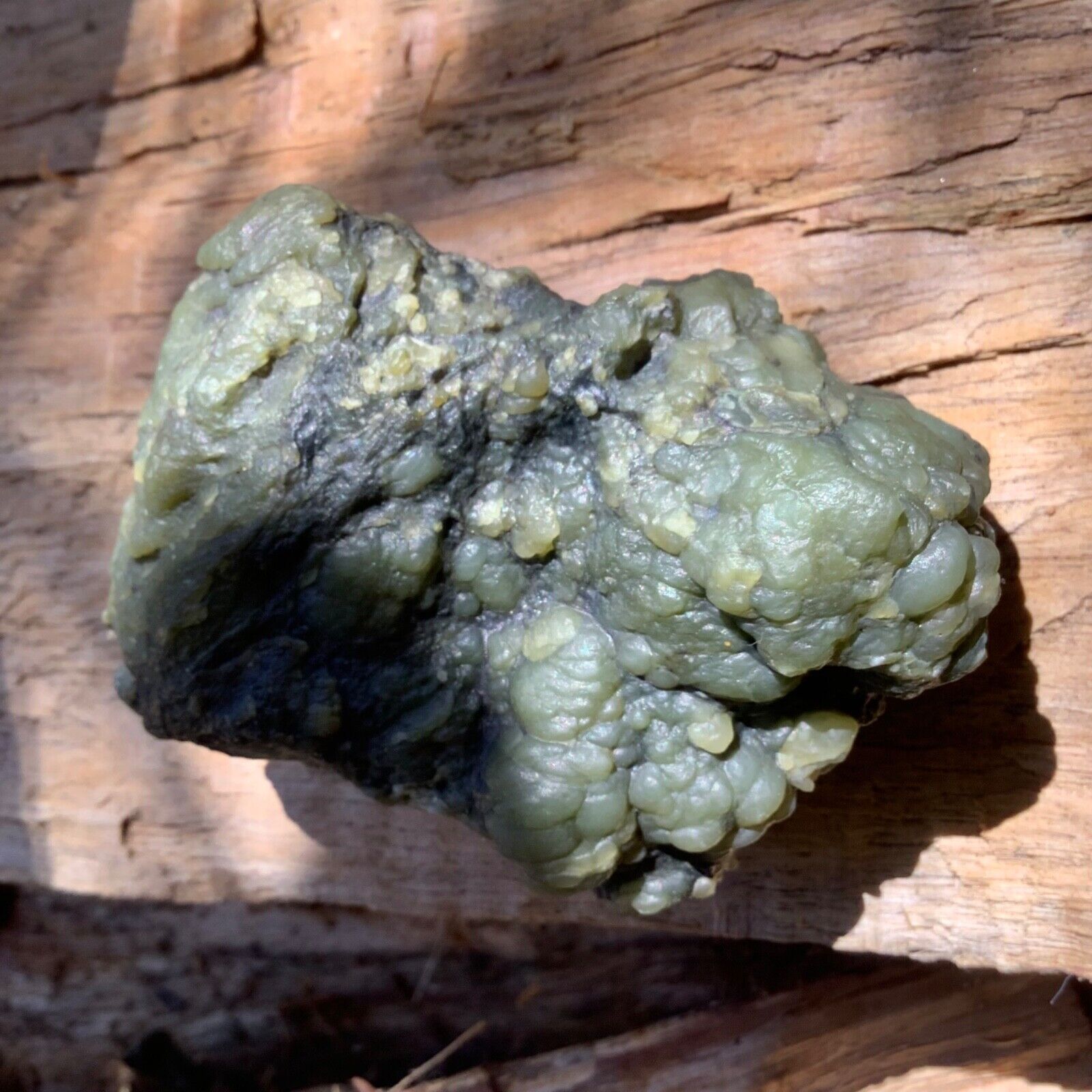 Big Sur Jade Botryoidal Nephrite Jade Green Ocean Bubble Stone Monterey CA #135