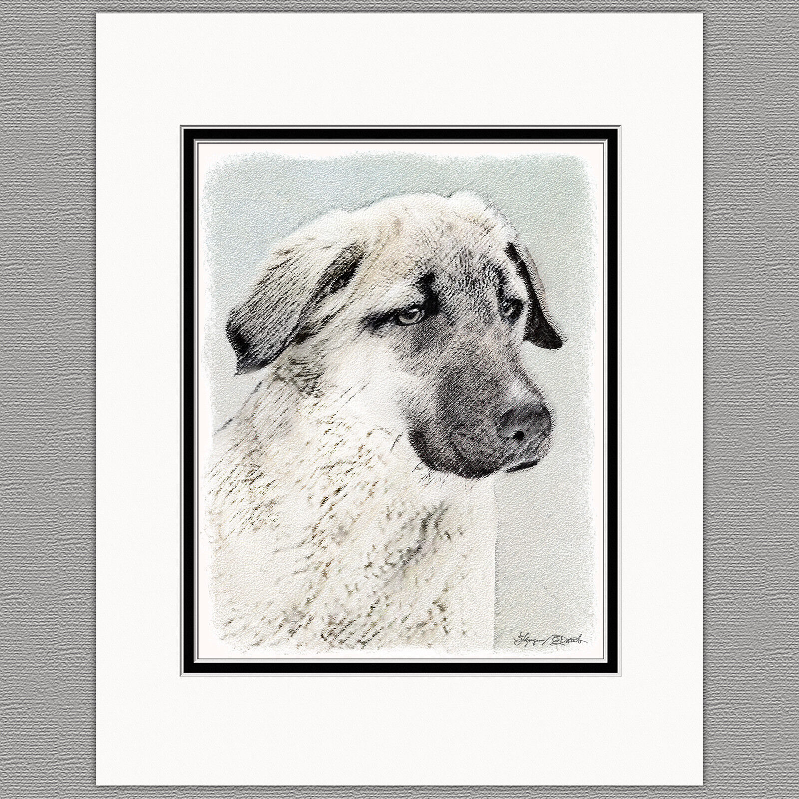 Anatolian Shepherd Dog Original Art Print 8x10 Matted to 11x14