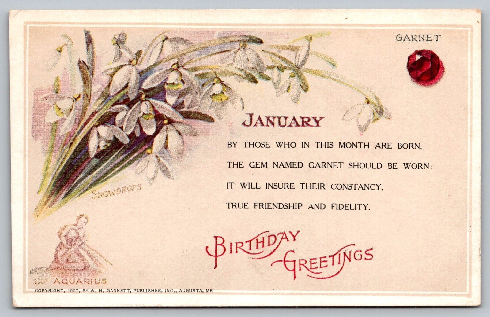 Postcard January Birthday Greeting Garnet Snowdrops And Aquarius VTG c1907  H17