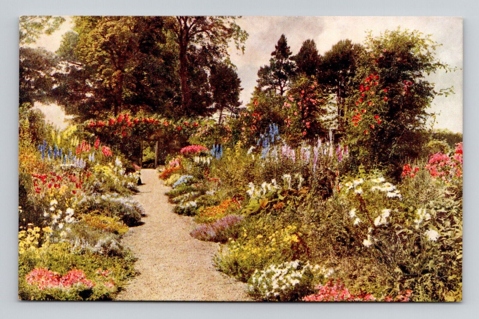 Postcard English Cottage Garden by J Salmon, Antique i4