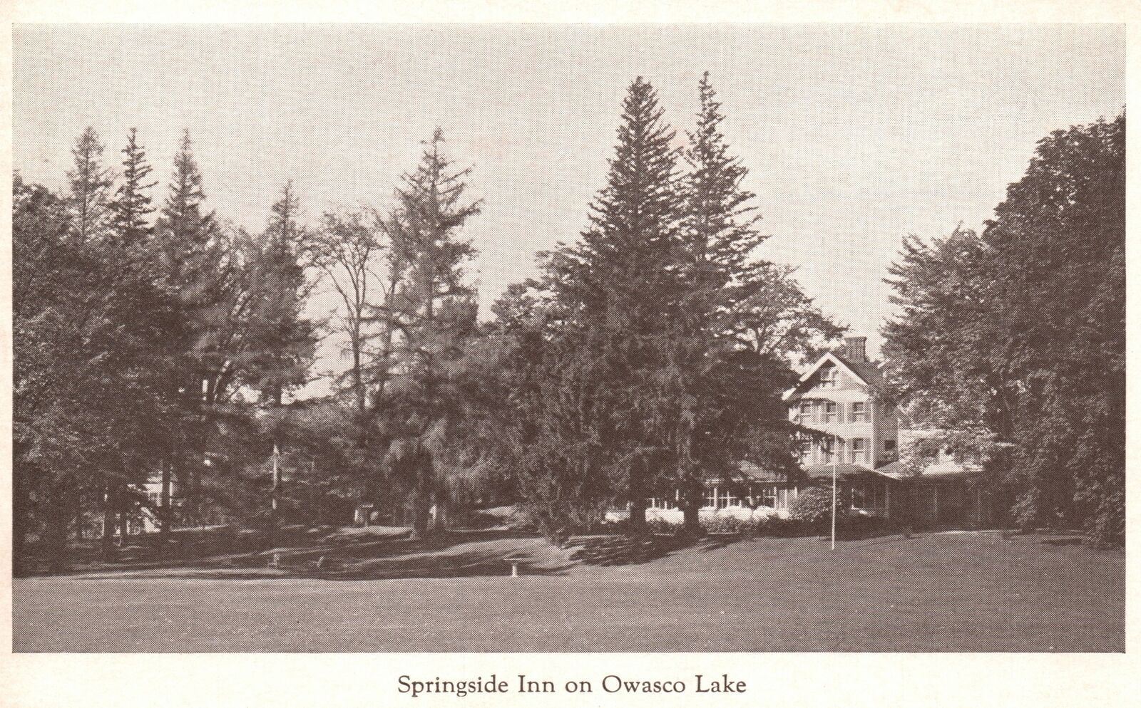 Vintage Postcard Springside Inn On Owasco Lake Greetings From Auburn New York NY