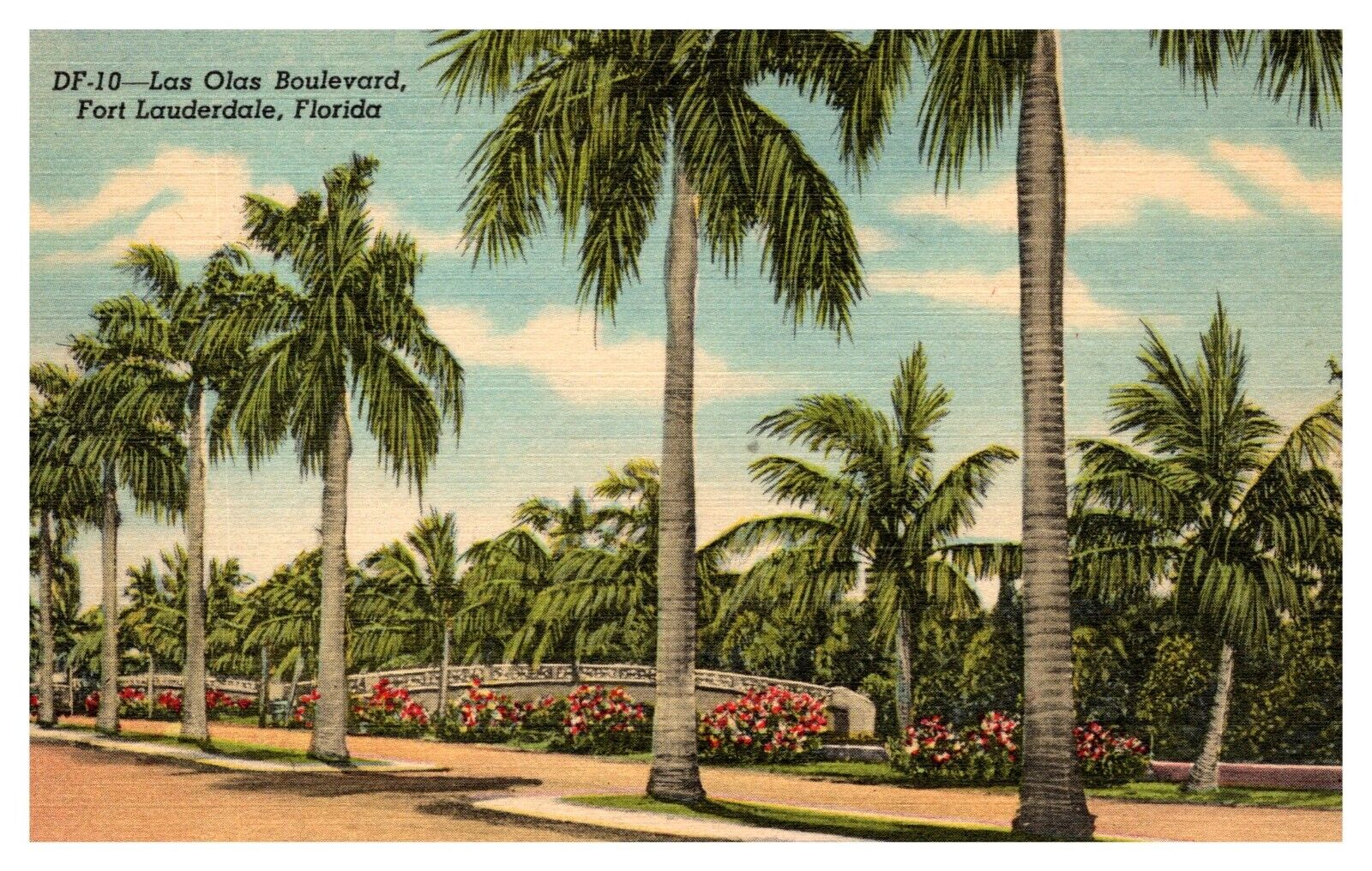 Fort Lauderdale Florida FL Las Olas Boulevard Palm Trees DF.10 Linen Postcard