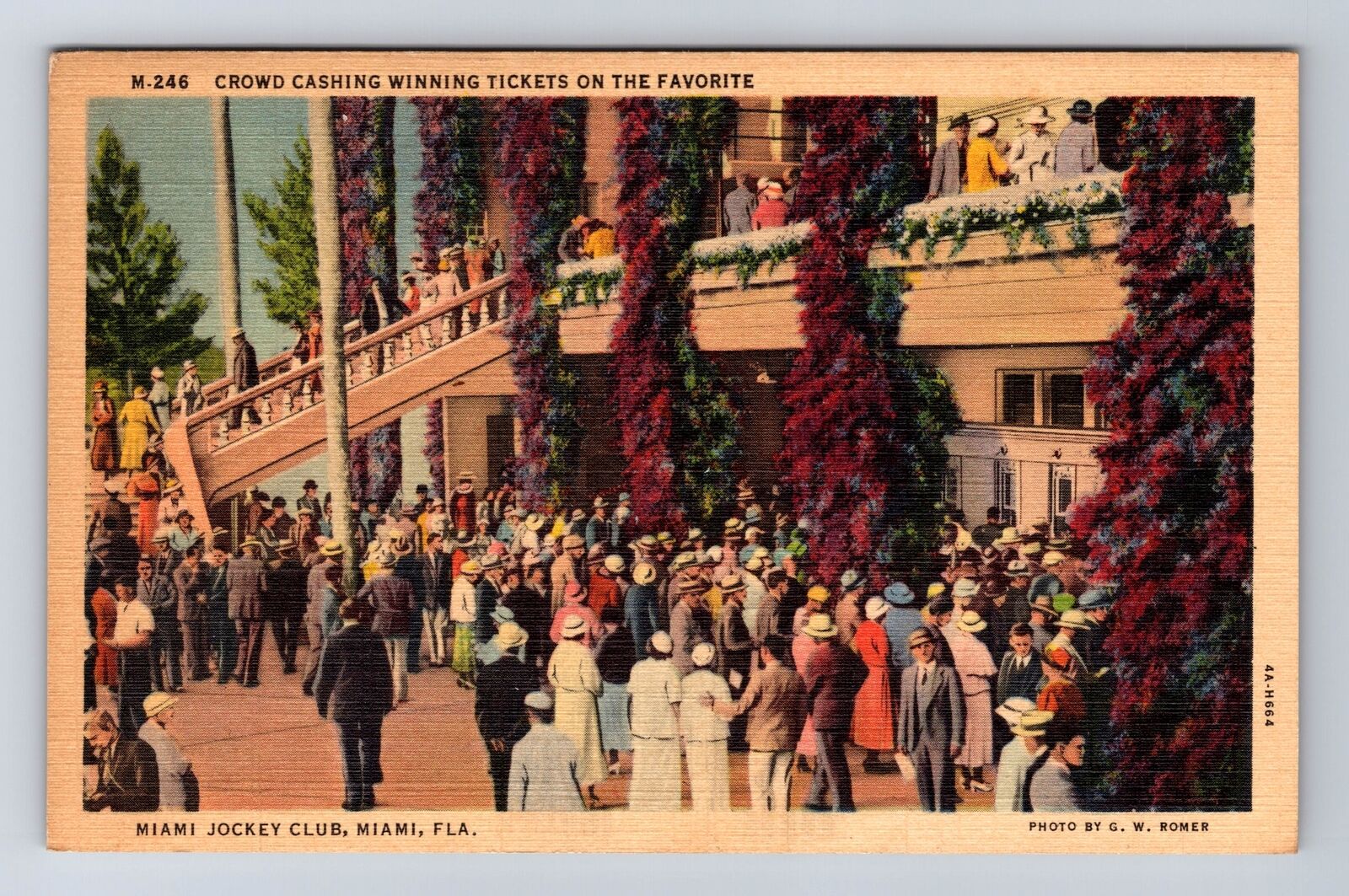 Miami FL-Florida, Miami Jockey Club, Winning Tickets, Crowd, Vintage Postcard