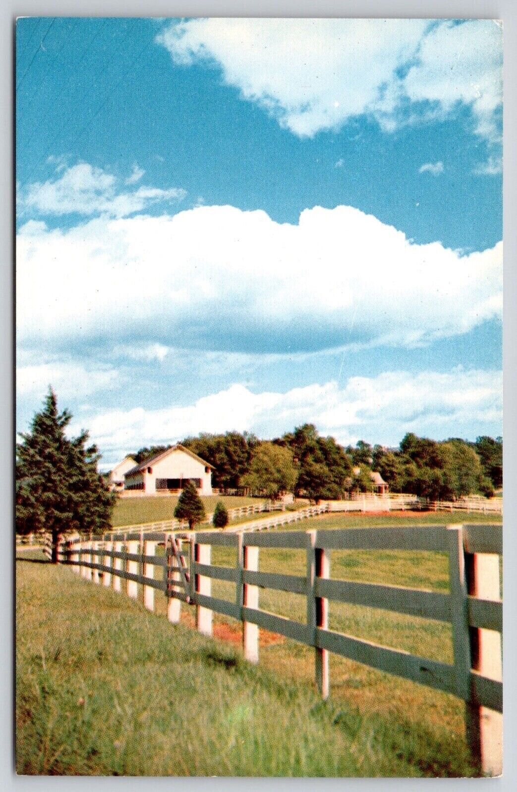 Virginia Piedmont Section Blue Ridge Mountain Foothills Fence Farm VTG Postcard