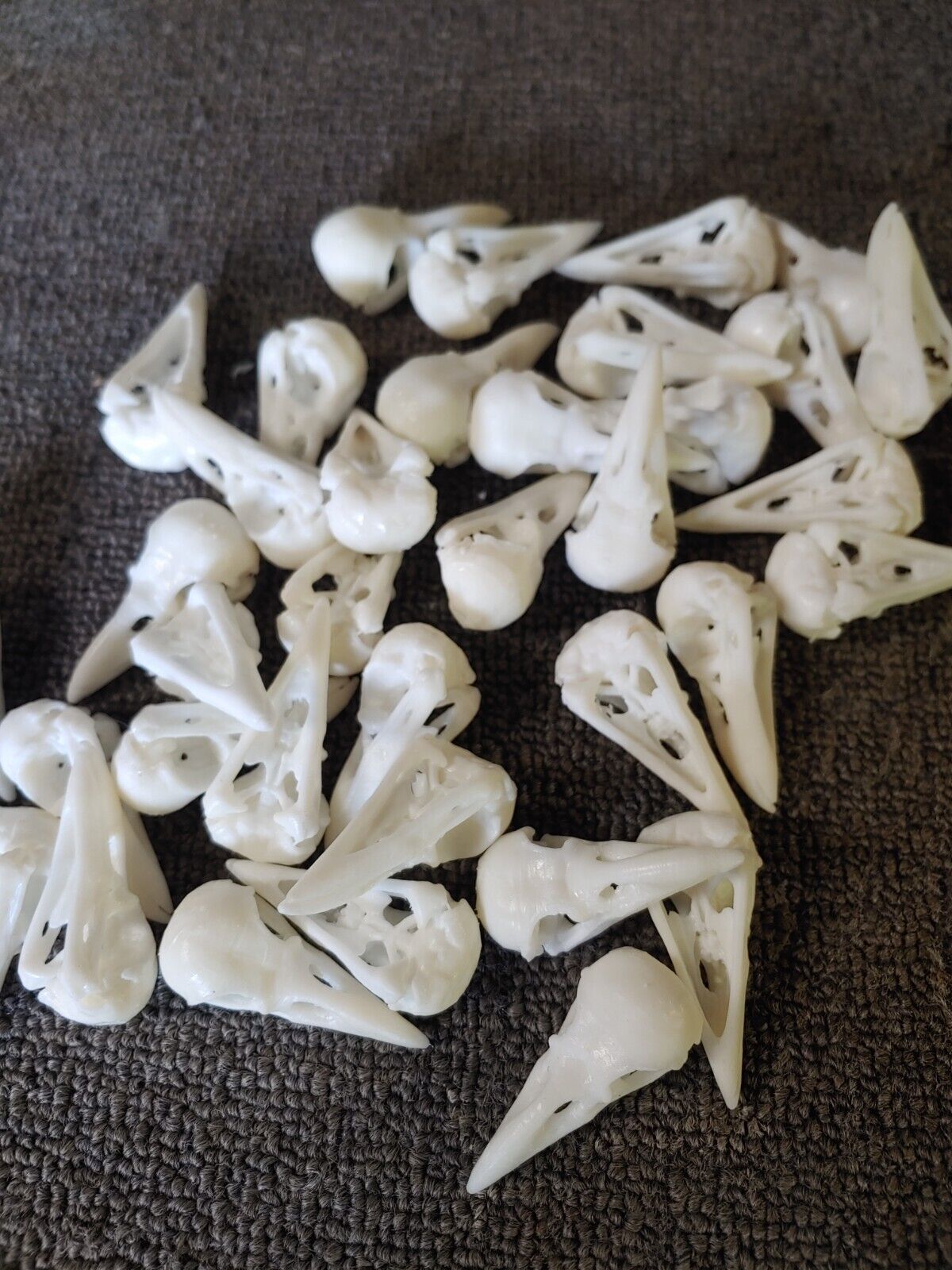 Pack of 50 Plastic Bird Skulls
