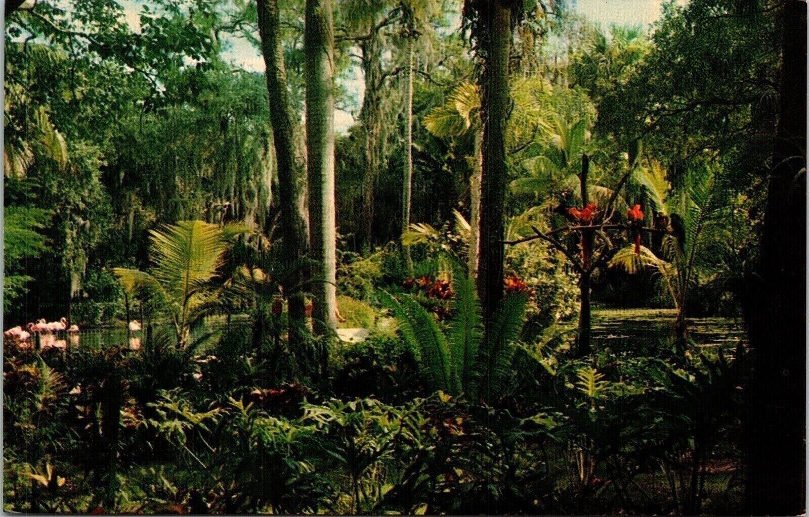 Mckee Jungle Gardens Floridas Paradise Vero Beach Florida Fl Pm Postcard