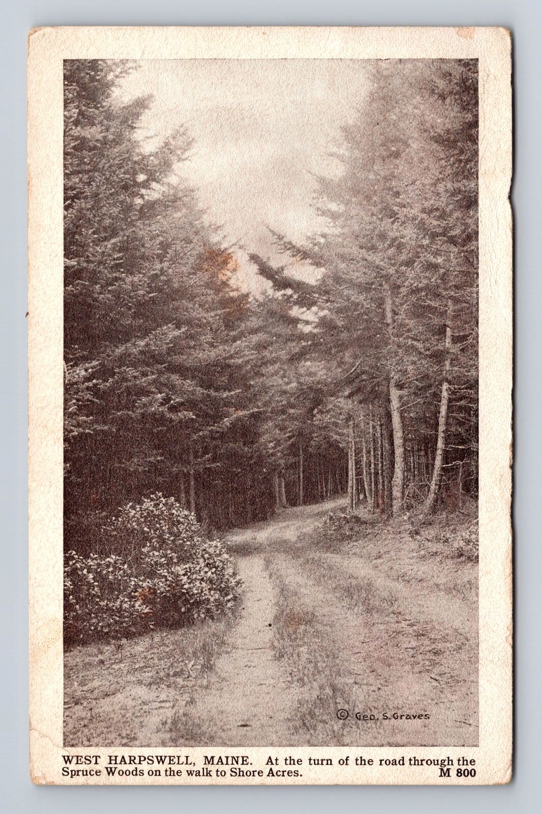 West Harpswell ME-Maine, Road At Spruce Woods, Shore Acres, Vintage Postcard