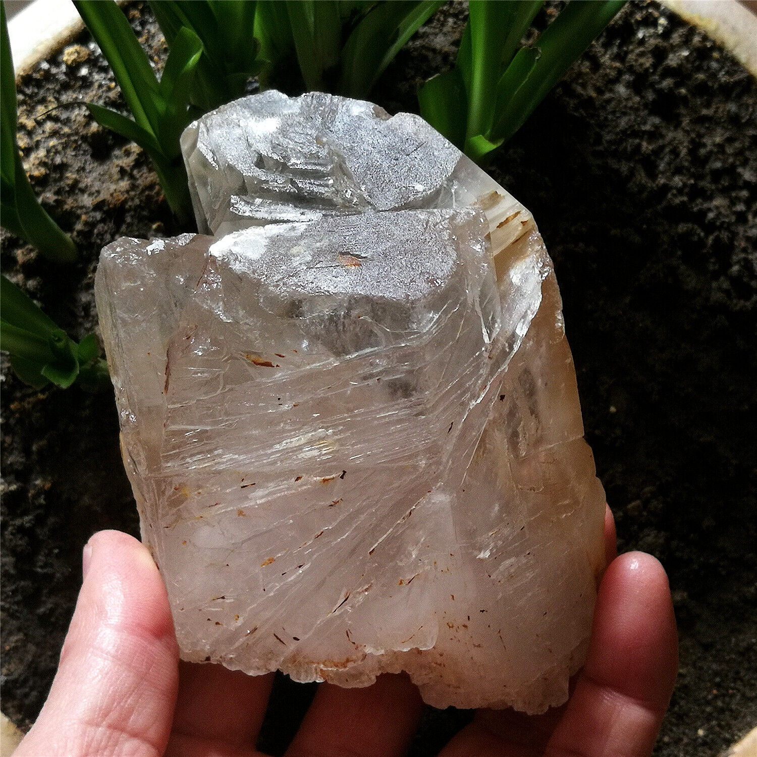 616g 95mm Amazing Ghost Quartz Natural Mystical Cutted & Marked By Nature Forces