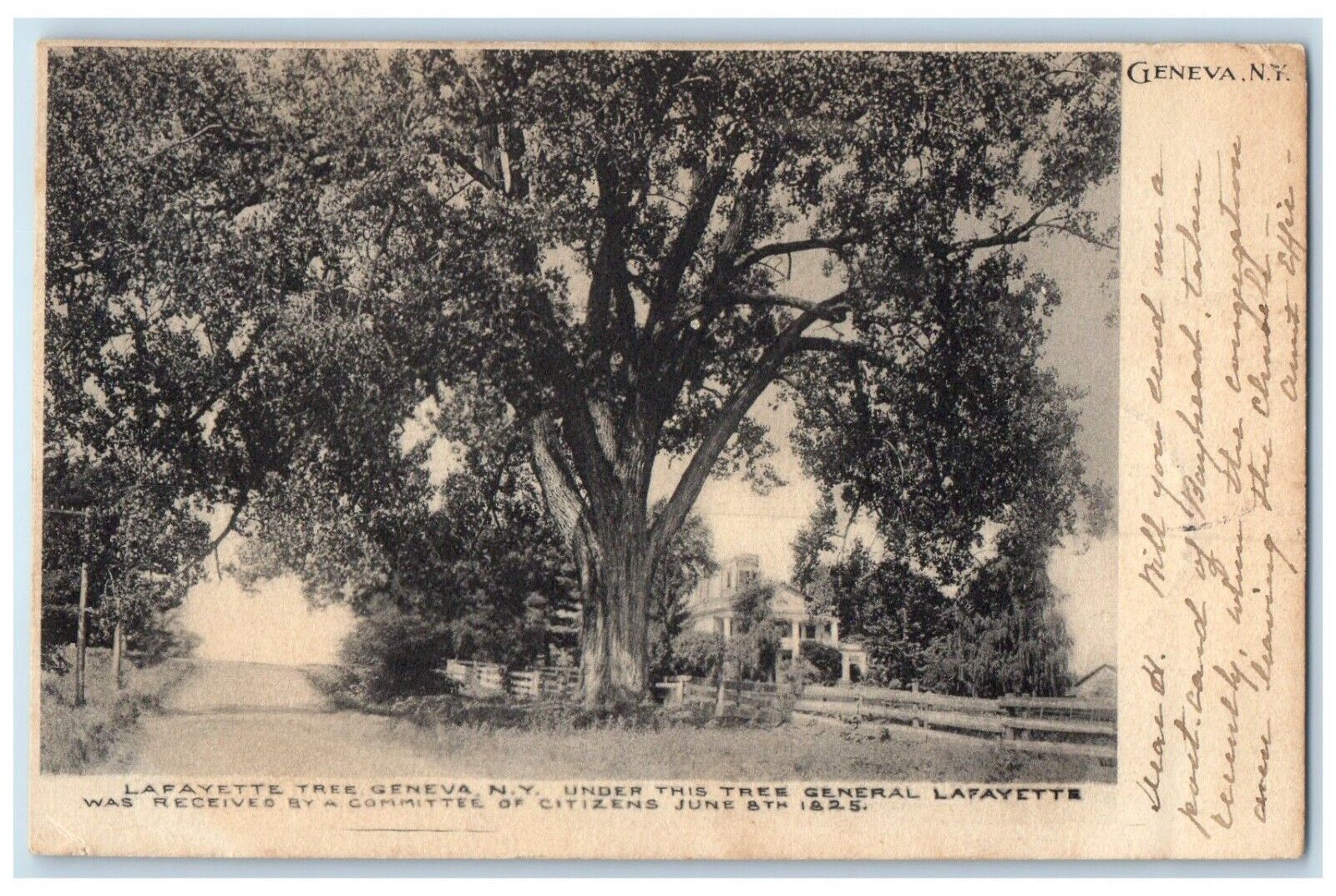 Geneva New York Postcard General Lafayette Tree Committee Citizens 1906 Vintage